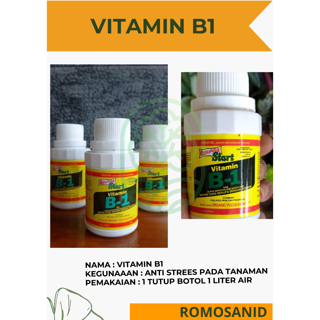 Pupuk Vitamin Perangsang Akar Anti Stress Tanaman B1 Liquinox 100ml 10000000% Original pohon hidup