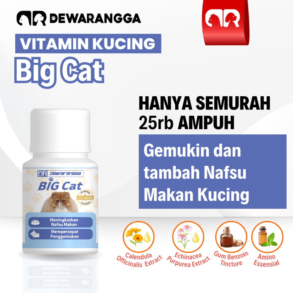 Vitamin Kucing BIG CAT Dewarangga - Vitamin Nafsu Makan dan Penggemuk Kucing - Vitamin Kucing Nafsu 
