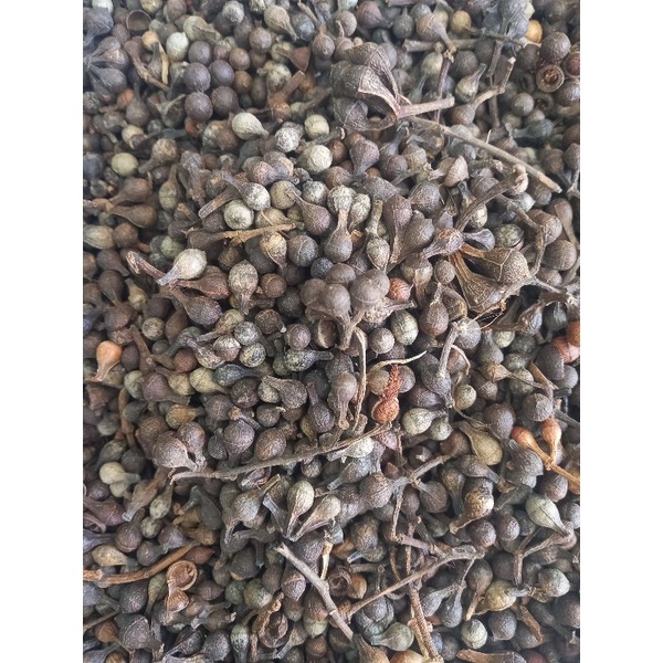 

Ceplik sari - Ceplikan 100 gr