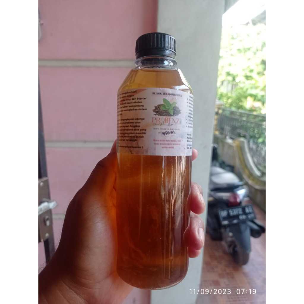 

Probenzi Kombucha Teh Hitam