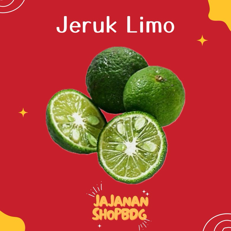 

JUN Baso Aci Isi 12pcs / Baso Aci Isi 12pcs Termurah / Baso Aci Paket 12pcs Murah / Baso Aci