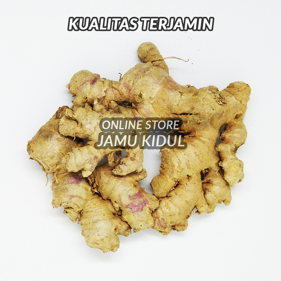 

Jahe Emprit Segar 100gr Murah Organik dan Asli