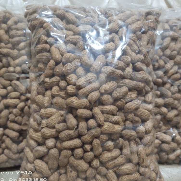 

[KODE IJD7J] KACANG KULIT SANGRAI MADURA 1kg