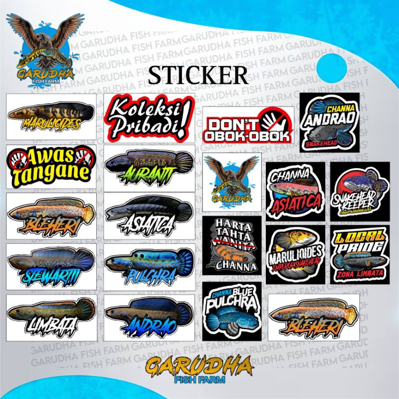 Sticker Channa Pulchra Asiatica Limbata Andrao Stewarti Auranti Iwak Galak
