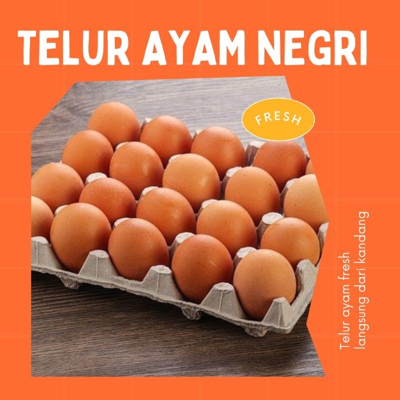 

Telur Ayam Negri dan Telur Omega 1kg Fresh
