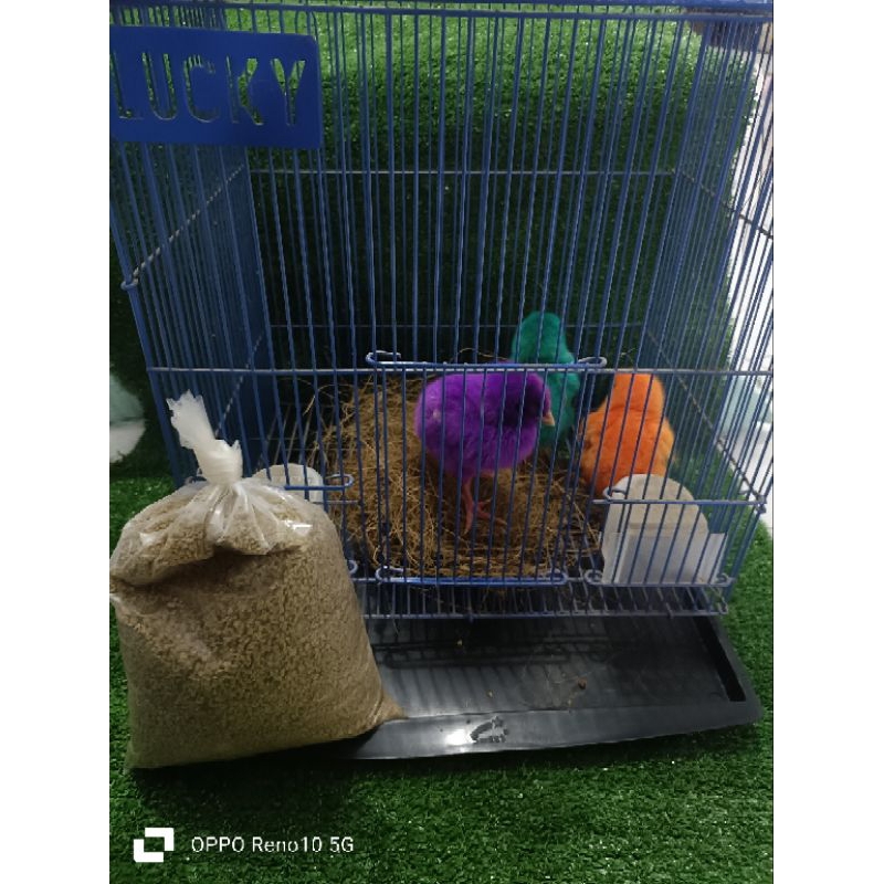 paket anak ayam dan kandang besi