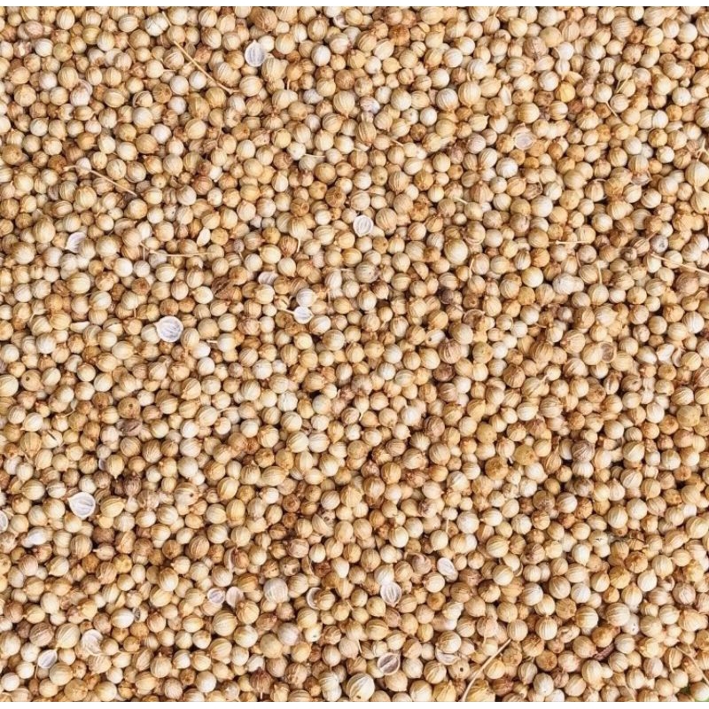 

ketumbar putih kuning murni bulet bersih kemasan (500g)(250g)(100g)