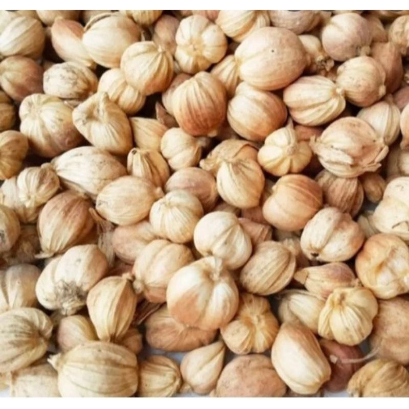 

KAPULAGA BIJI KAPOLAGA ASLI MURNI KEMASAN (1KG)