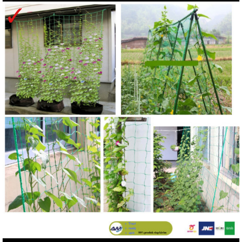 Jaring rambatan tanaman net climbing