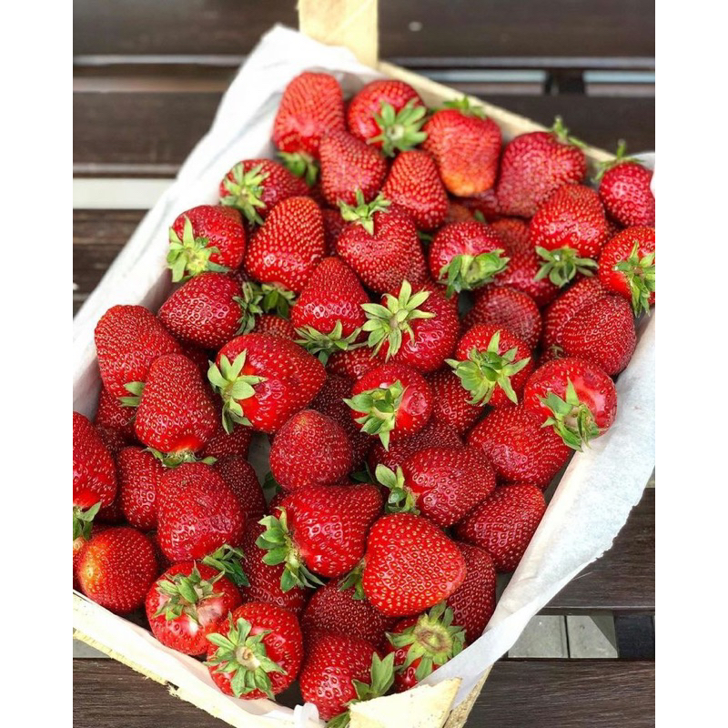 

Buah Strawberry Fresh