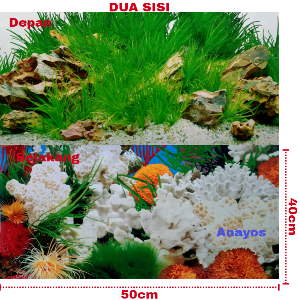 Wallpaper Background Aquarium Tinggi 40 Cm Panjang 50 Cm Motif 12