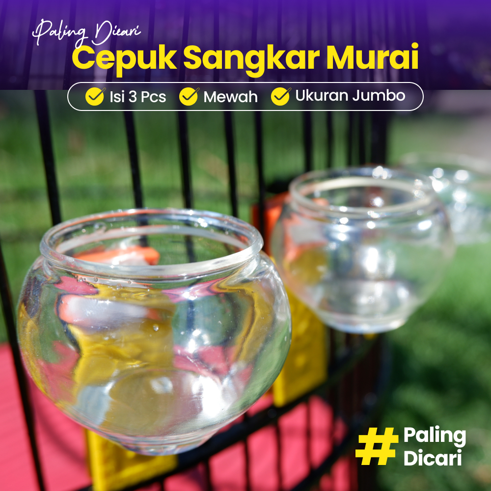 CEPUK WADAH PAKAN MINUM BURUNG BENING ISI 3 JUMBO