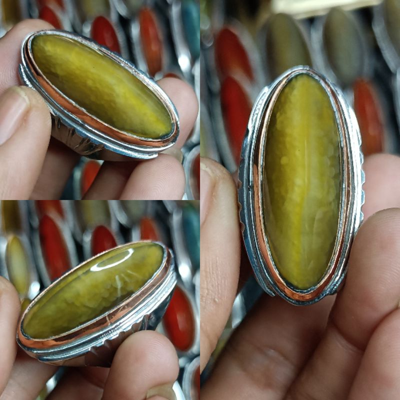 PANDAN NANAS SISIK BETIK