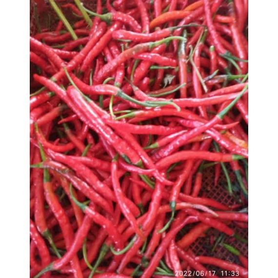 

S3ll3r Cabai / Cabe Kriting Merah per KG [202]