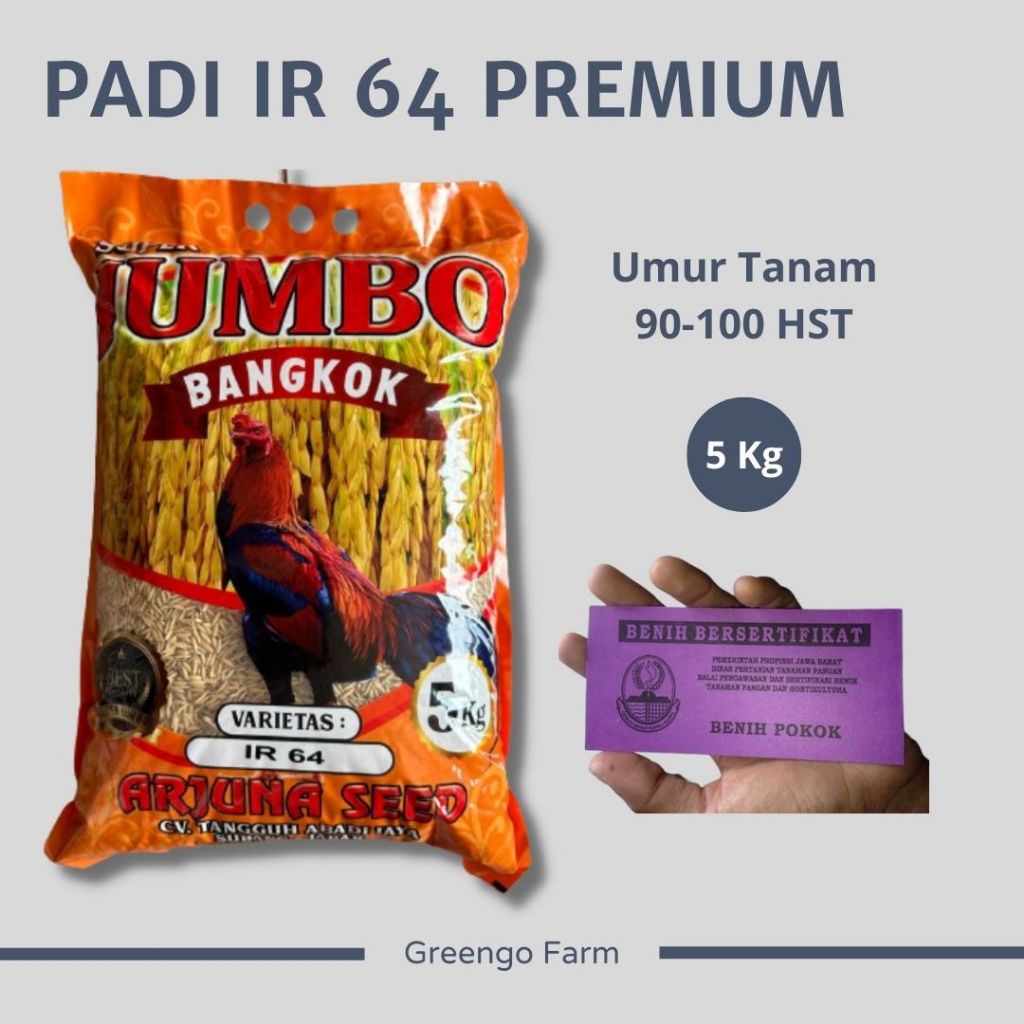 Benih Padi Varietas IR64/ IR 64 Super Jumbo 5Kg