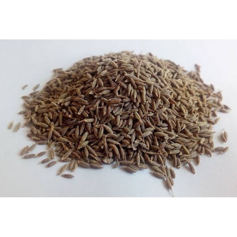 

jintan kering 50gr