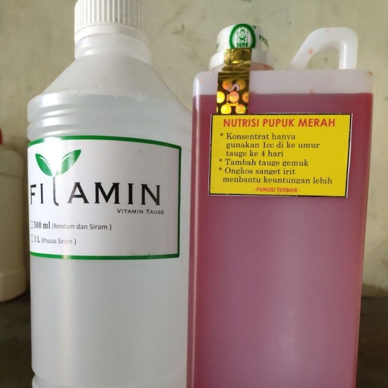 NUTRISI FILAMIN DAN NUTRISI OBAT MERAH