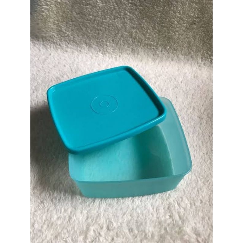 TUPPERWARE SMALL SUMMER / SQUARE
