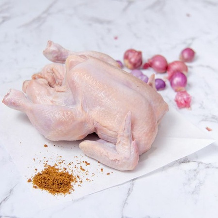 

QPRV6160 [PROMO MURAH!!!] ayam broiler frozen 600 sd 700 gram/ayam 0607/ayam potong/ayam murah