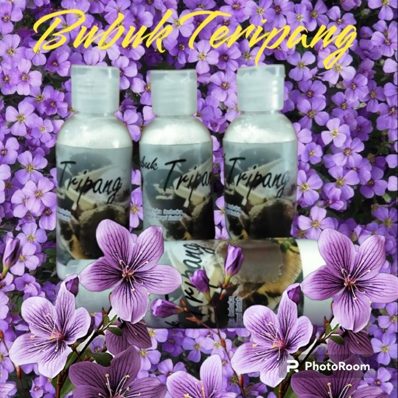 Bubuk teripang/bubuk gamat