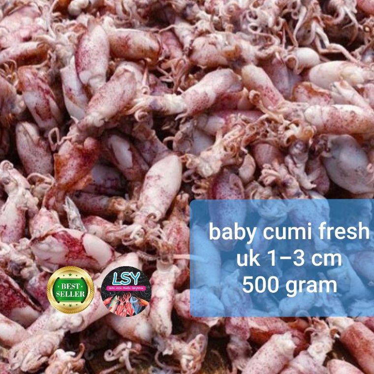 

Mur4h ikan asin baby cumi / cumi asin / cumi rebus 78 berat 500gram Ready Stock