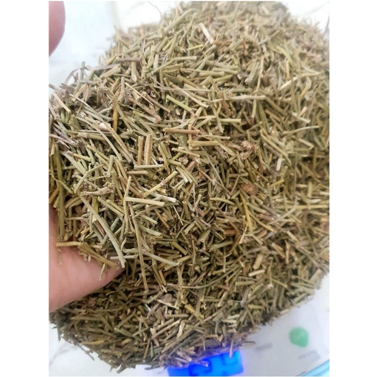 

READY STOK] (600 GRAM) Ma Huang / Ephedra Sinica Stem Pure Raw Natural Tea Ma Wang