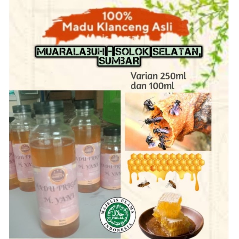 

Madu klenceng / trigona asli muaralabuh - solok selatan || Sumbar