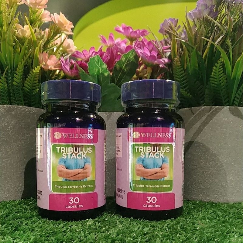 wellness tribulus stack