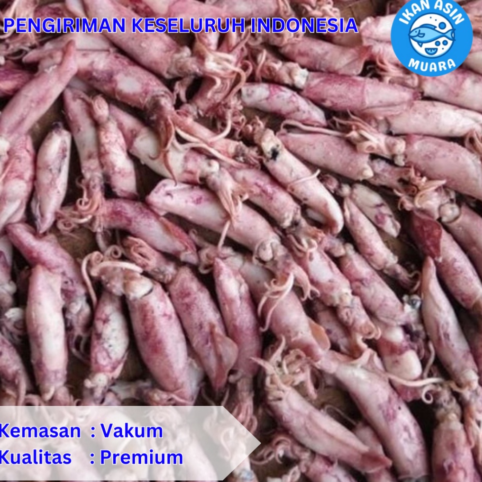 

Terkini Cumi Asin Kemasan Vakum 250 Gram - 500 Gram - Ikan Asin Muara