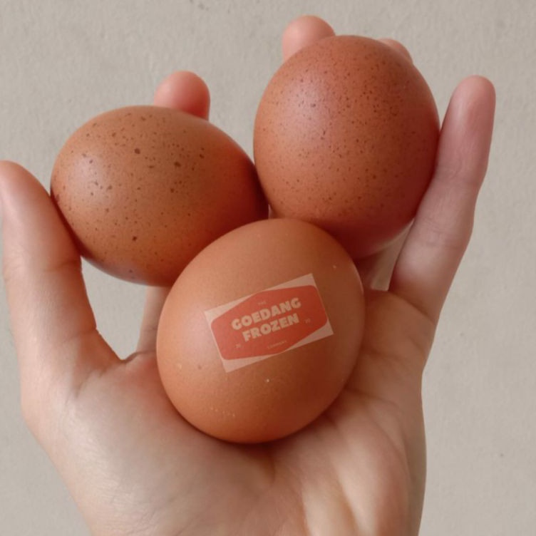 

MODEL WBR949 Telur Ayam Negeri 10 Butir