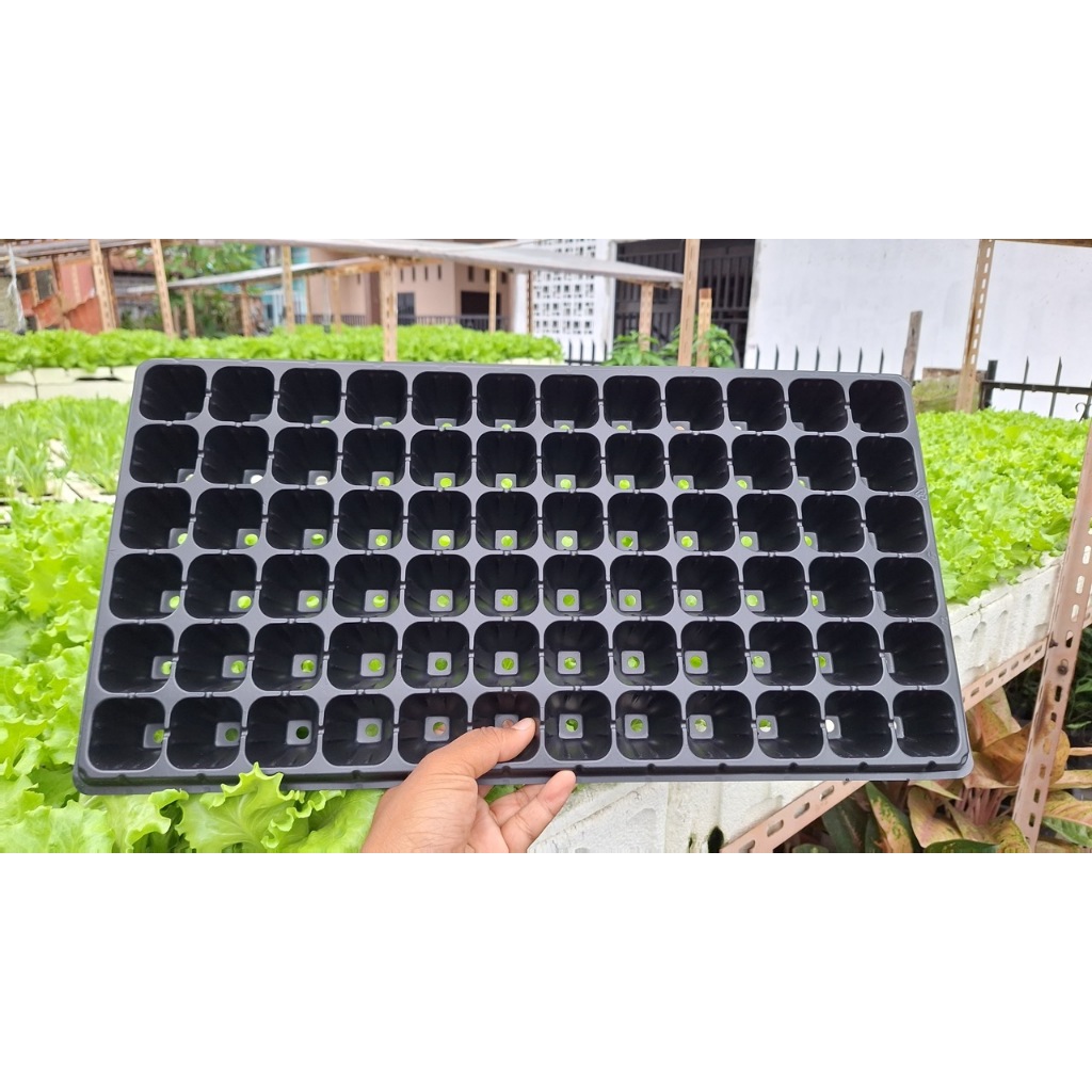 Tray Semai 72 Lubang / Seedling Tray / Tempat Penyemaian Benih Tanaman