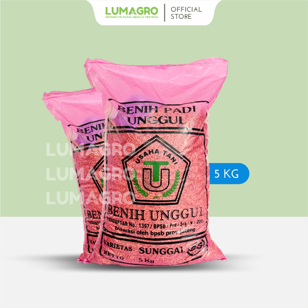 Benih Padi Usaha Tani 5kg Sunggal Bibit Pari Kualitas Unggul Berbagai Varietas