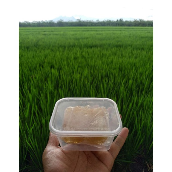 

UR54 Madu sarang apis melifera madu asli HONEYCOMB berat 100 gram FREE BOX DUS PACKING hb0hg