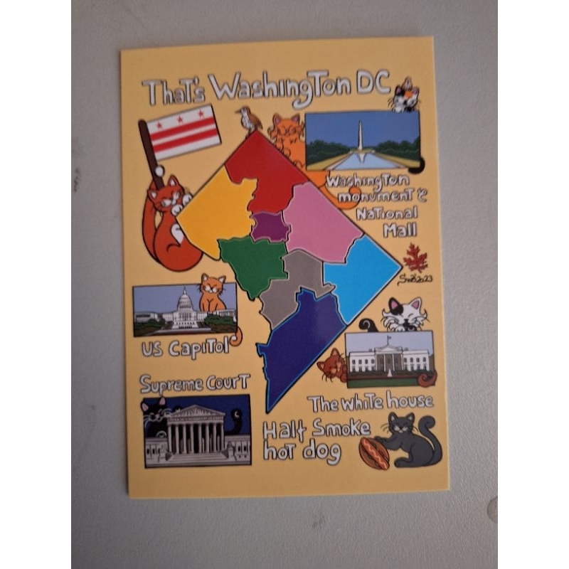 

kartu pos kucing titina washington/titina cat postcard