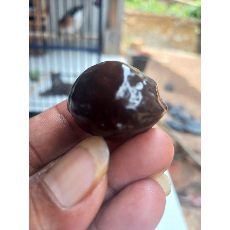 Muncang Adu MJ Full pale