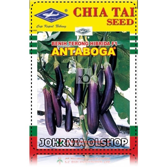Johrnia 25 Benih Biji Terong ANTABOGA F1