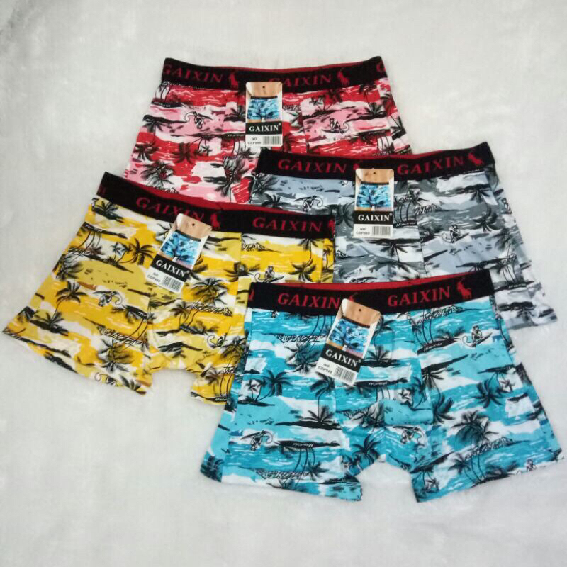 Celana Boxer Pria Gaixin Motif Pantai Celana Dalam Cowok