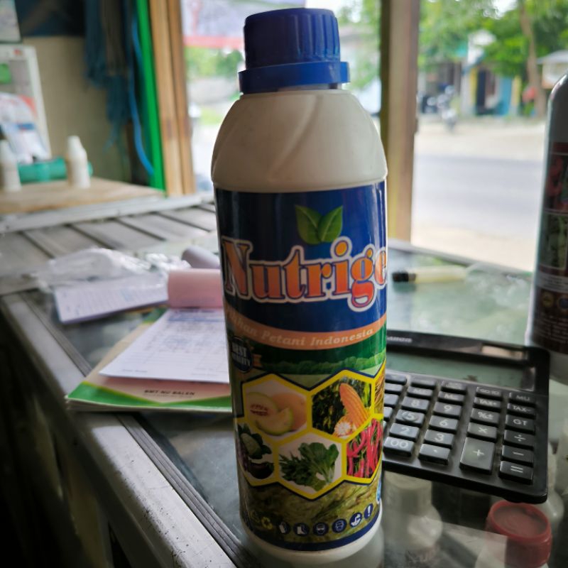 Pupuk Boron pLus Zpt Cair anti Rontok dan Anti Kerdil Nutrigen