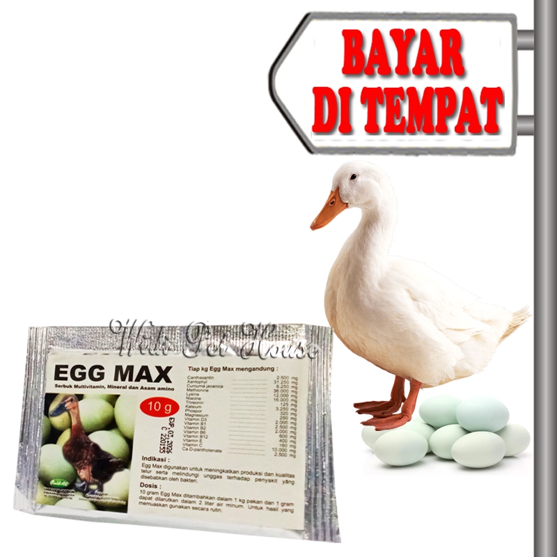 Vitamin Petelur Bebek Pemicu Produksi Telor Banyak Egg Max