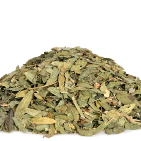 

Daun jati cina kering / Daun jati china kering