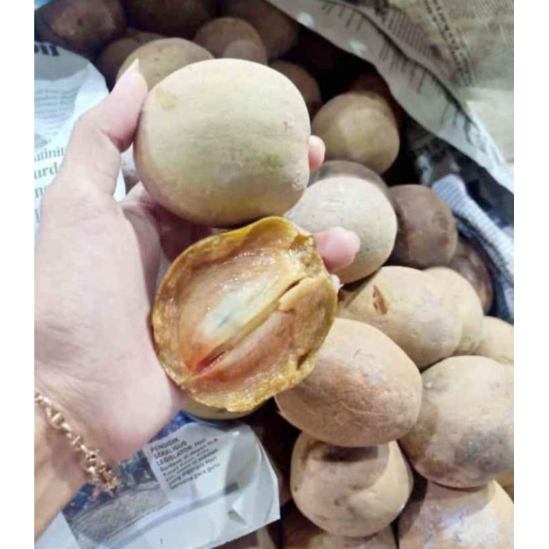 

Sawo Madu 1 kg