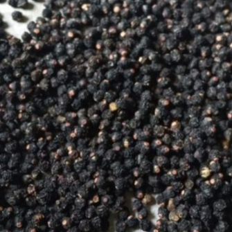 

TERMURAH BUAH ANGKUNG OBAT STROKE HERBAL ORIGINAL 250 BIJI