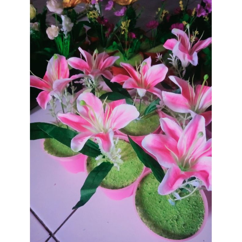 BUNGA HIAS LILY PLASTIK PLUS POTNYA