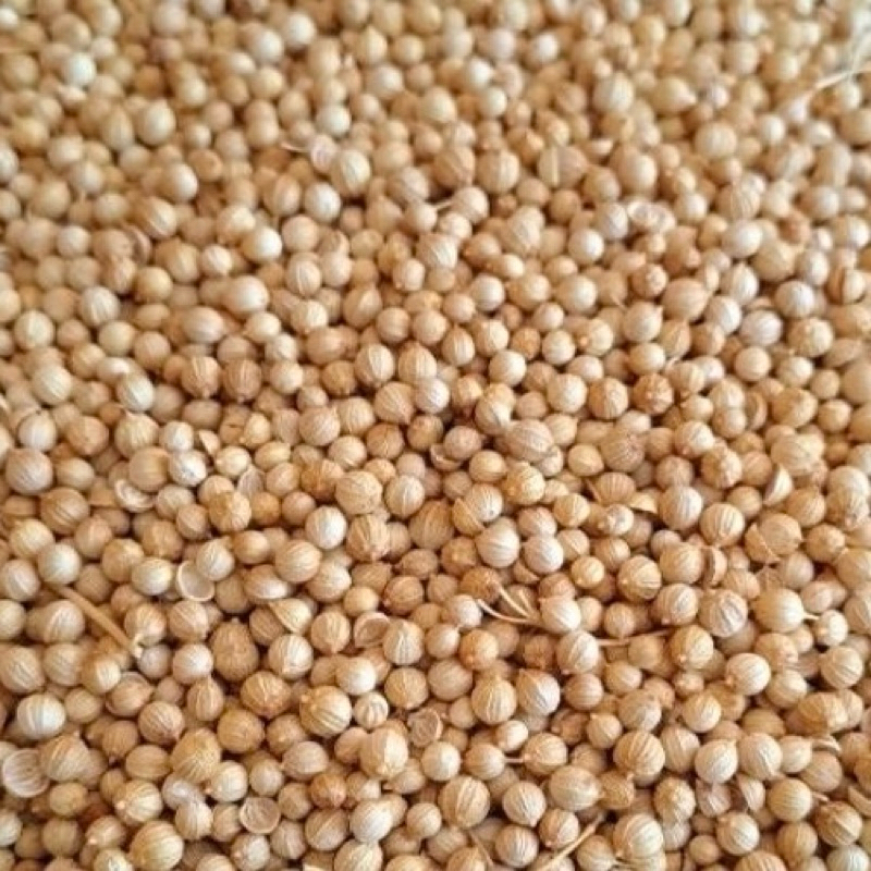 

Ketumbar Organik 100gr - Biji Ketumbar Alami Tanpa Pemutih [PUTIH]