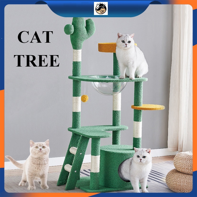 Rumah Kucing Kayu Cat Tree Cat Condo Elegant