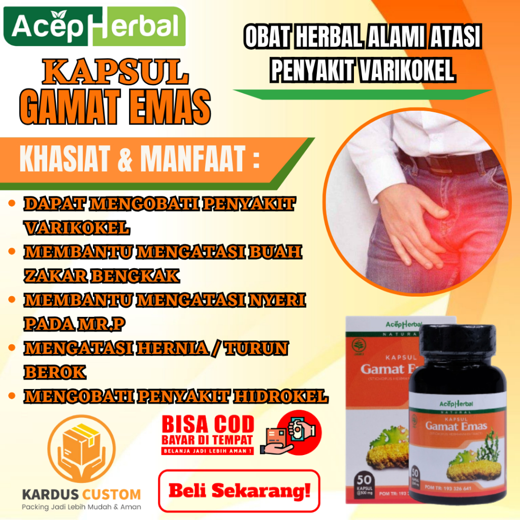 Obat Penyakit Varikokel, Obat Buah Zakar Bengkak, Obat Nyeri Pada MR.P, Obat Hernia Atau Turun Berok
