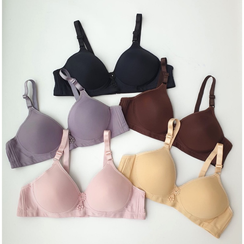 6 PCS | BH Paket Bh Premium Busa sedang tanpa kawat kait 3 Ukuran 36 38 40 42 Cup B POLOS