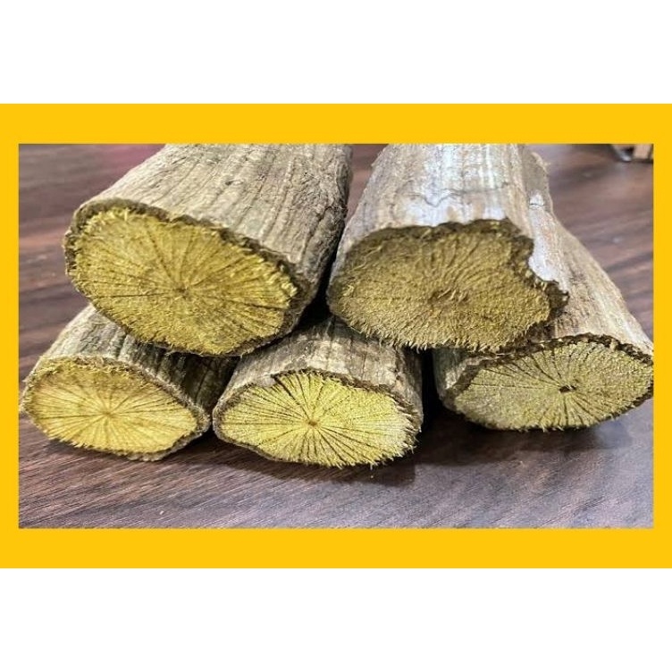 

[KODE NBVVF] Akar Kayu Bajakan