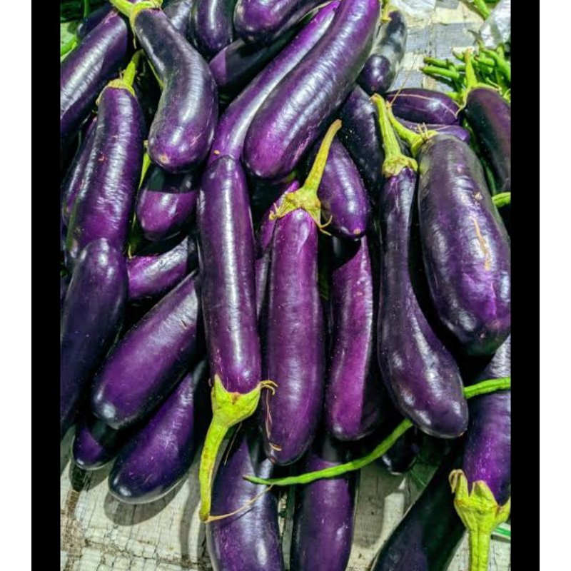 

Terong Ungu 500 g