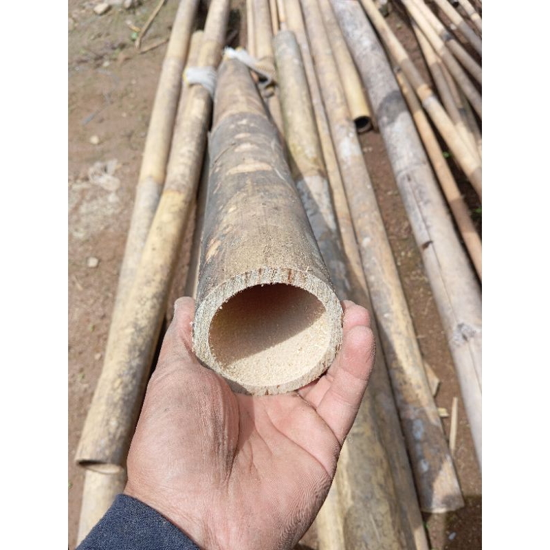 Bambu Utuh panjang 2 meter